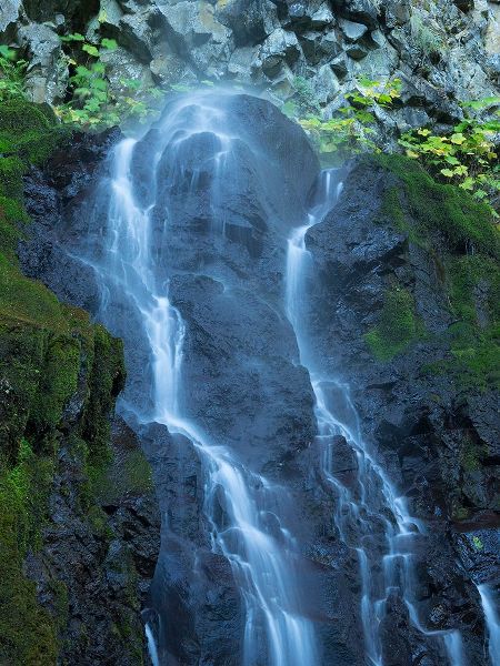 Wild, Jamie and Judy 아티스트의 Oregon-Columbia River Gorge National Scenic Area-Cabin Creek Falls작품입니다.